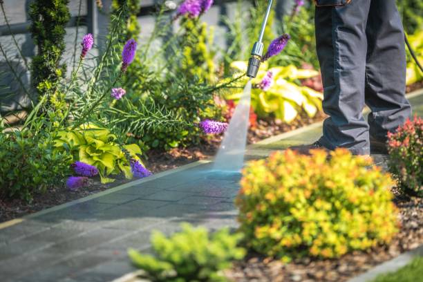 Best Animal Enclosure Cleaning  in Pike Road, AL